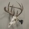 Allen Co EZ Mount Trophy Skull Hanger, Black 7254 - alternate 6